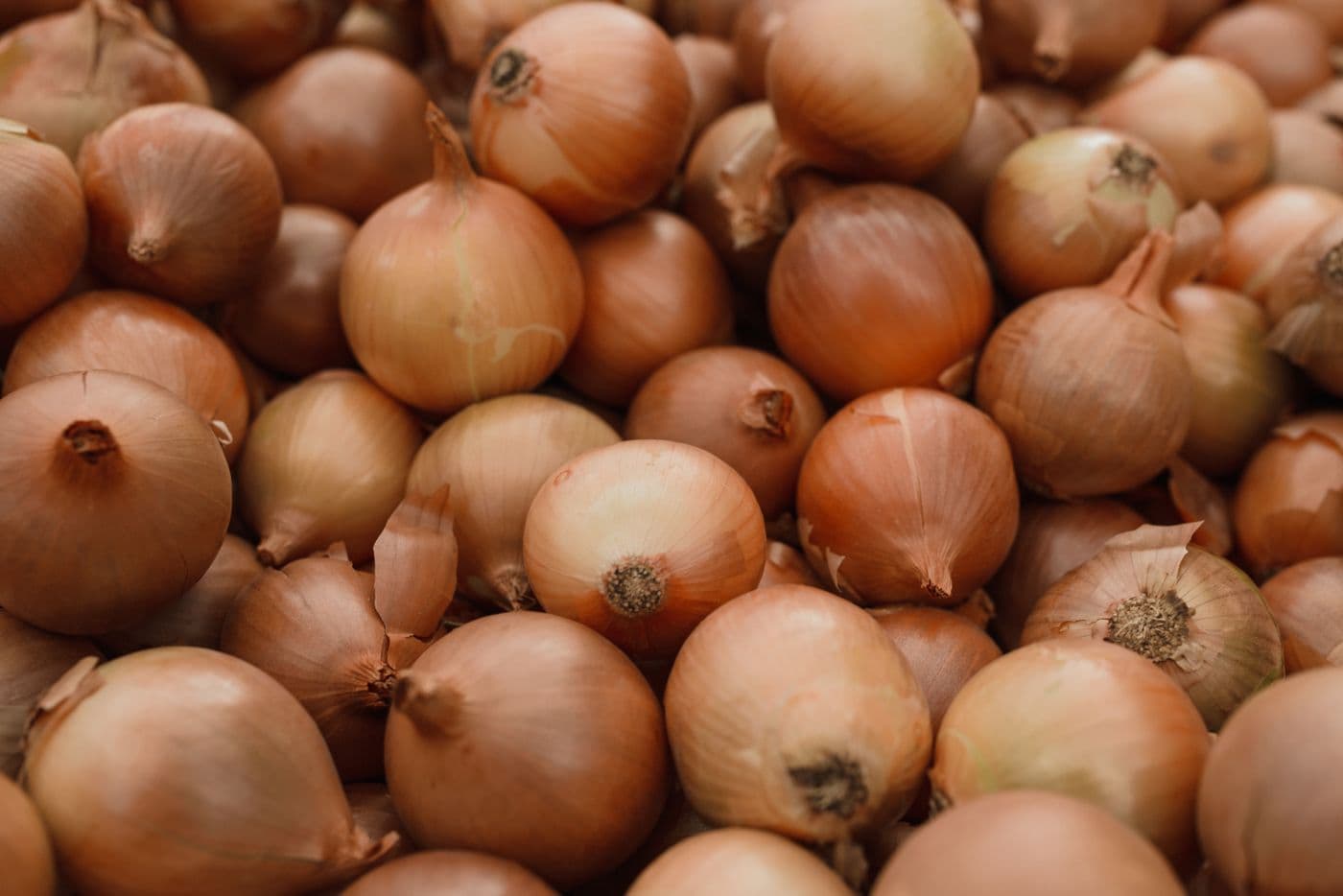 Cebolas